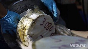 ‘3천만명 분’ 필로폰 밀수범 징역 30년 확정…마약사범 국내 최고 형량