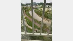 아파트 유리창 뚫고 날아온 쇠구슬…인근 초등학교 BB탄 금지령