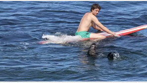 “귀여운 외모 속지마세요”…서퍼 공격해 美서 수배령 내려진 해달