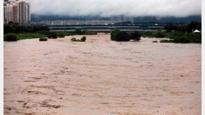 홍수주의보 무심천서 행인 실종 소동…걸어 나와 이동했다