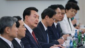 尹 대통령, 우크라 재건 참여 기업인들 만나 “정부 적극 지원”