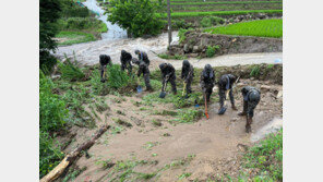 육군, 인명구조·호우피해 복구 총력…장병 2500여명·장비 60여대 투입