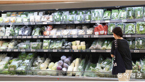 장마에 채소값 급등… 시금치 한달새 73% 올라 