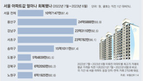 서울 집값 회복도 양극화… 강남 고점대비 92%, 노원 83% 회복 
