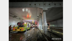 與, 수해로 조강특위·윤리위 일정 모두 연기