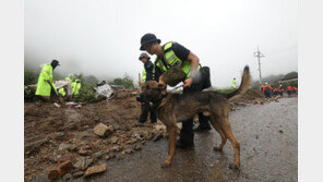 소방당국, 경북 예천 실종자 수색에 수색견 10마리 투입