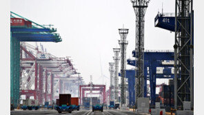 中 상반기 수출입 총액 3561조 원 ‘상반기 신기록’