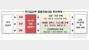 서울시, 출산 양육 어려운 ‘위기 임산부’ 통합 지원 나선다