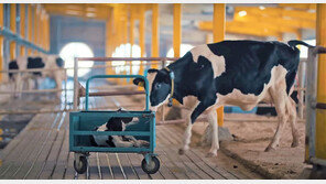 “韓기업, 첨단 농업-게임 등 카타르와 IT 협력 강화해야”