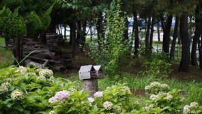 부산그린크러스트-비키 “어린이에게 기후위기 없는 세상 물려줄래요”