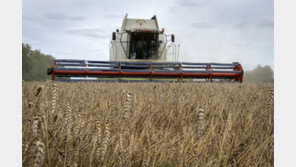 러, 흑해곡물협정 사실상 종료 선언… ‘식량 무기화’ 행보 다시 시작