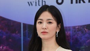 송혜교 집 공사로 이웃 주민 차량 파손 “안전 미흡, 죄송 ”