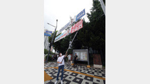 “고발 당할라”…정당현수막 강제 철거 몸 사리는 공무원들