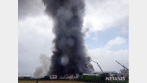 여객기, 검은연기 위로 날았다…제주공항 근처 불
