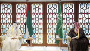 사우디·UAE 중동 패권 다툼…걱정스러운 미국