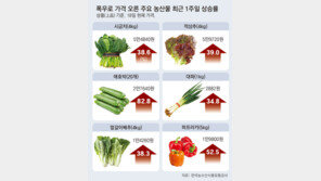 폭우 맞은 밥상물가… 상추 39% 뛰었다 