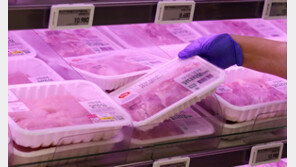 1년 만에 12% 오른 닭고기…폭우에 74만마리 폐사, ‘금닭’ 되나