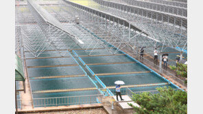 인천시 내년부터 10년 만에 수도요금 현실화…3인 가족 최대 2700원↑