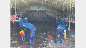 호우로 농지 1억평 침수·매몰…가축 83만마리 폐사