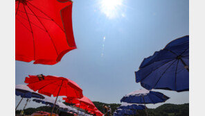 서울 서북·서남·동남권에 오존주의보 발령