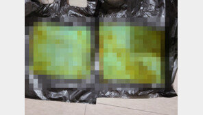 “파킨슨 환자 항문에 매일 패드 집어 넣었다”…간병인 혐의 인정