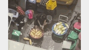 무 닦던 수세미로 발 ‘박박’…족발집 조리장 2심도 벌금형 