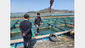 ‘1억 이상’ 전남 고소득 어가 2501곳 역대 최다…1위 완도