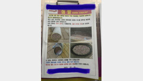 세탁실 배수구에 고양이 배변 모래 버린 이웃…아랫집 물바다