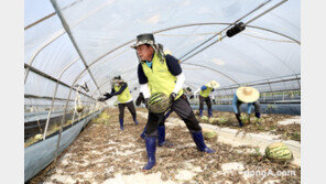 농협, 집중호우 피해입은 논산·청주 찾아 피해복구 실시