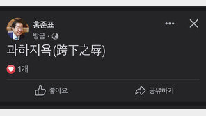 홍준표, SNS에 ‘과하지욕’ 올렸다 삭제…무슨 뜻이길래