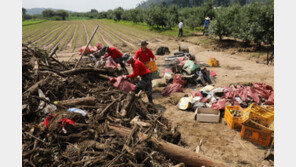 [날씨]폭염 끝 다시 장맛비 시작…월요일까지 최대 180㎜ 금요일까지 계속