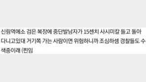 “신림역 인근 15㎝ 칼 든 남자 조심”…두달 전 글 재조명