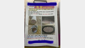 “배관 막혀 저층 물난리”…원인은 세탁실에 버린 고양이 모래