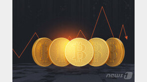 불법 사이트로 비트코인 4000개 번 30대 실형…608억원 추징