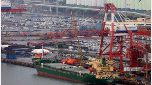 인천항 근무 불법체류자 18명 적발한 날 1명은 도주 11일째 행방 묘연