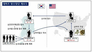 4억5천만원 상당 대마 밀수한 일당 3명 검거…1만명 동시 투약분