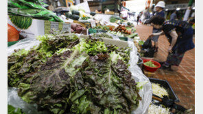 잦은 폭우에 채솟값 폭등…“손님 빠질까 봐 메뉴판 손도 못 대”