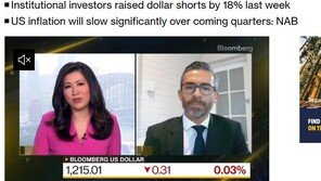 내년초 금리인하 가능성 커…美자산운용사 대거 달러 약세 베팅