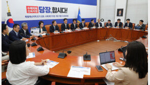 수해 중 해외출장 논란에 민주 지도부 ‘한숨’…“정서상 맞진 않지만”