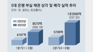 5대 시중銀, 상반기 2조원대 부실채권 털어… 작년 전체 맞먹어