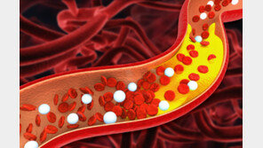이상지질혈증 치료 부작용 줄였다… 당뇨병 걱정 없는 약물 주목
