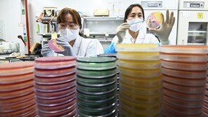 “여름 휴가철, 식중독 주의” 