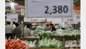 농식품부, 집중호우 가격 상승 시설채소·닭고기 수급 안정 총력