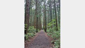 한라산둘레길, 자전거 못 들어온다…8월1일부터