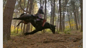 ‘태종 이방원’ 말 학대 논란 KBS 제작진 9월 첫 재판