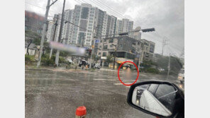 “또 무슨 일이냐”…우산 쓴 알몸남, 빨간불 횡단보도 활보