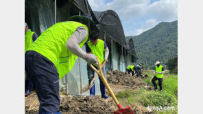 농협경제지주, 폭우 피해 농촌지역 릴레이 일손돕기 실시