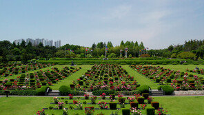 6·25 유엔용사, 한국에 사후안장 19명… 콜롬비아 4명도 추진 