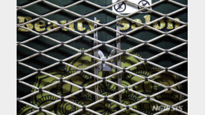 탈레반, 아프가니스탄 전국 미용실 폐쇄 명령