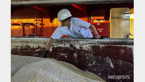 IMF “흑해곡물협정 중단 탓 곡물가격 최대 15% 오를 것”